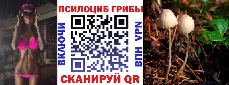 Галлюциногенные грибы мицелий  площадка формула  ОМГ ОМГ ONION  Костерёво  купить наркотики сайты 
